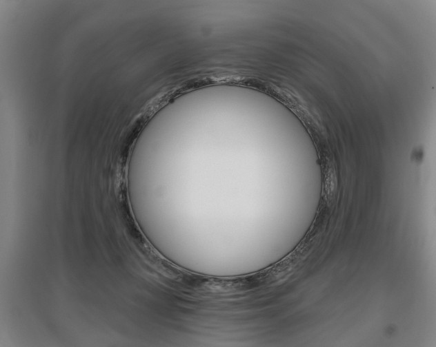 X0000095880367200801110810