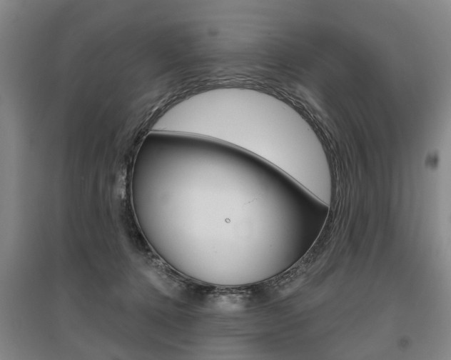 X0000095880368200801110810