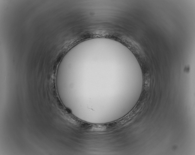 X0000095880369200801110810