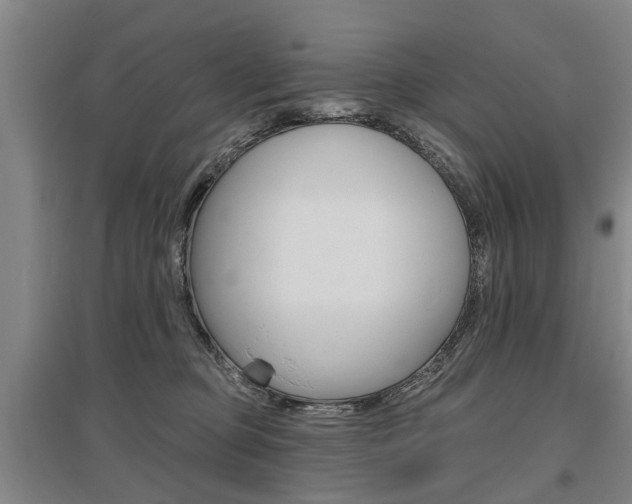 X0000095880373200801110810