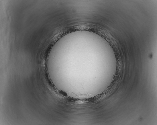 X0000095880375200801110810