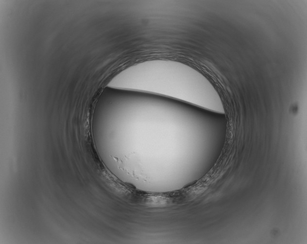 X0000095880376200801110810
