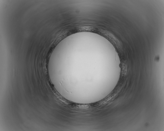 X0000095880377200801110810