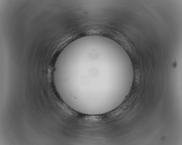 X0000095880378200801110810