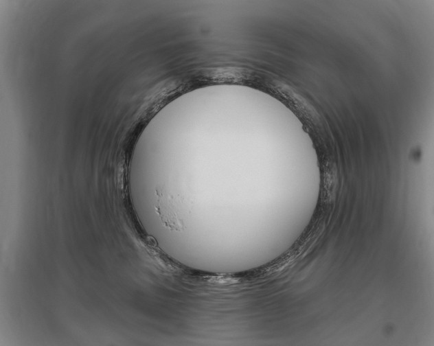 X0000095880379200801110810