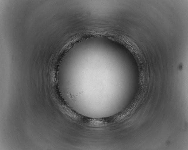 X0000095880380200801110810