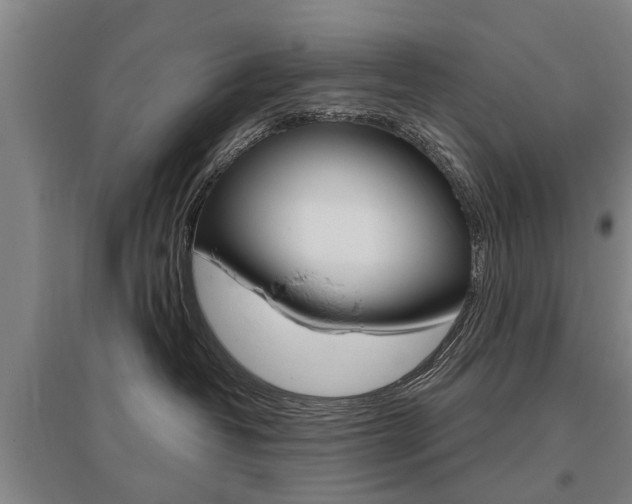 X0000095880382200801110810