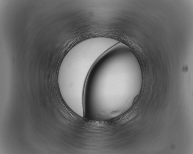 X0000095880384200801110810