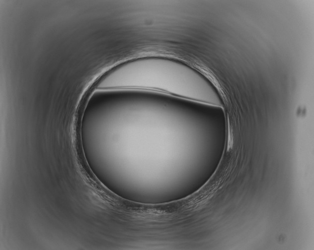 X0000095880387200801110810