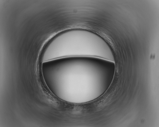 X0000095880388200801110810