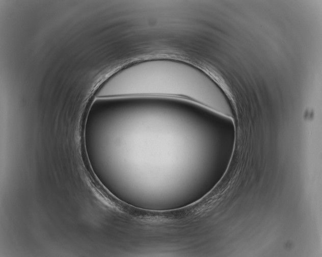 X0000095880389200801110810