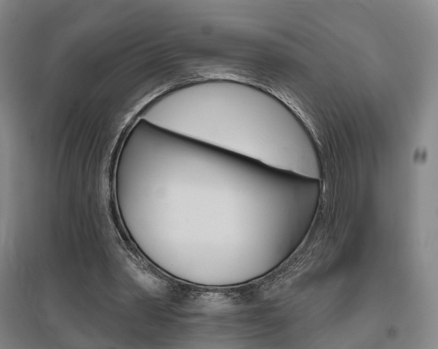 X0000095880390200801110810