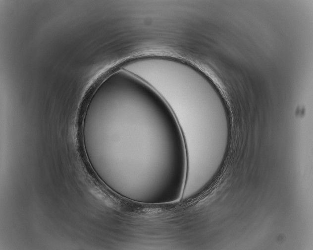 X0000095880391200801110810