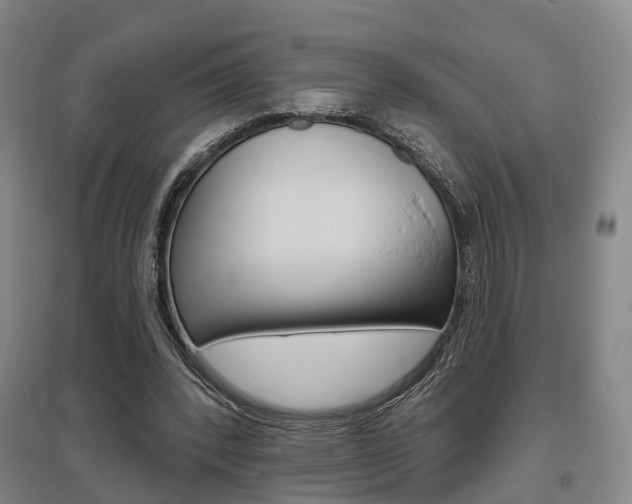 X0000095880392200801110810