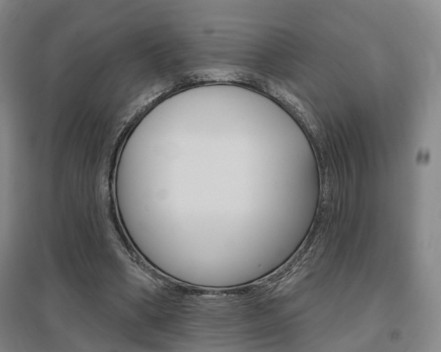 X0000095880394200801110810