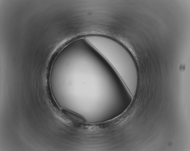 X0000095880395200801110810