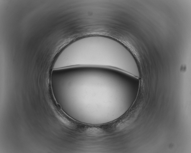 X0000095880397200801110810