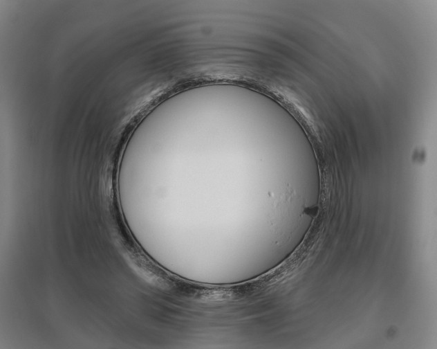 X0000095880398200801110810