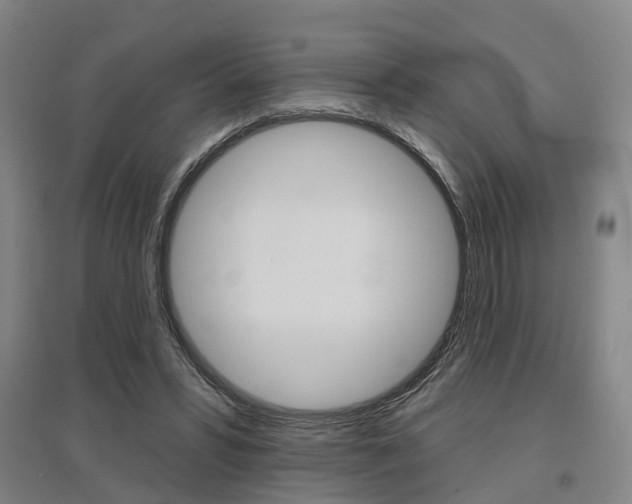 X0000095880399200801110810