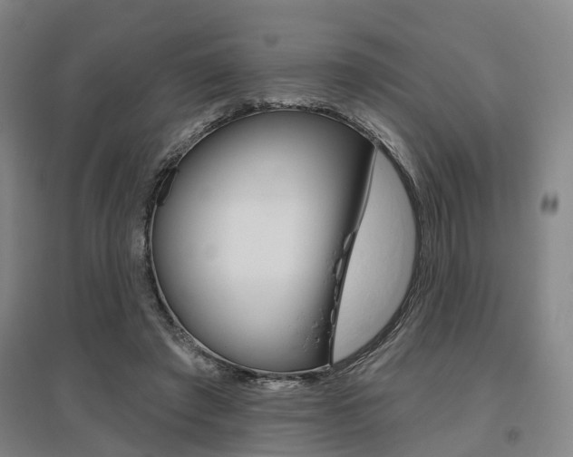 X0000095880401200801110810