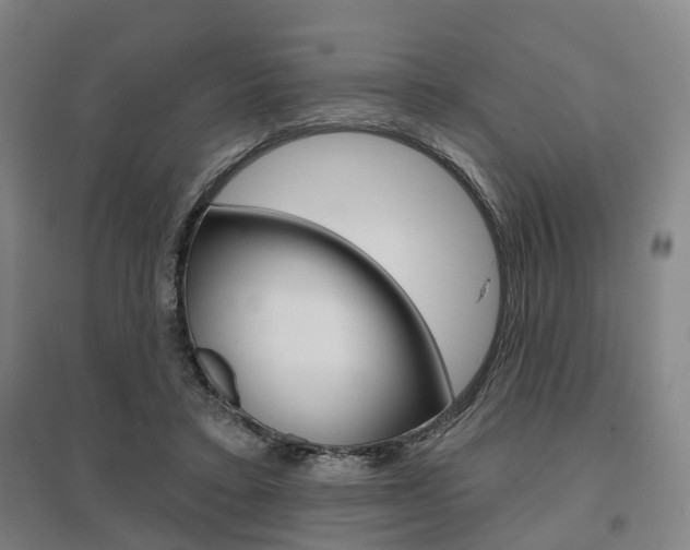 X0000095880403200801110809