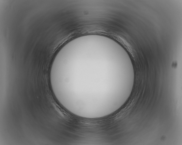 X0000095880405200801110809