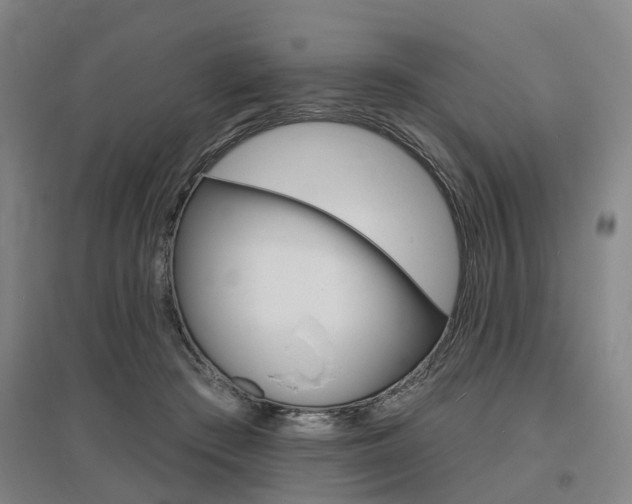 X0000095880409200801110809