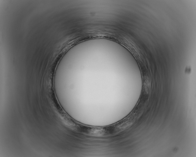 X0000095880410200801110809