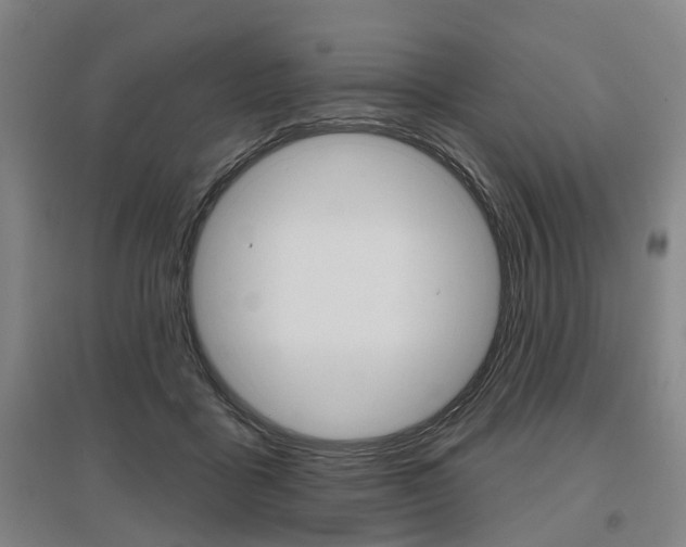 X0000095880411200801110809