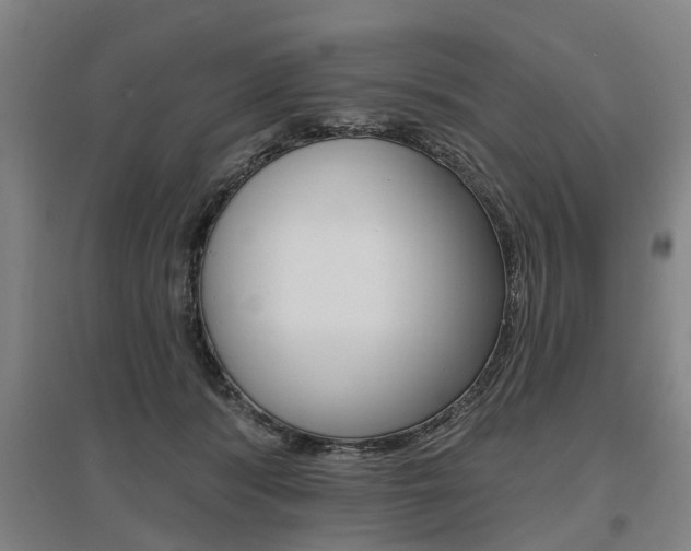 X0000095880416200801110809
