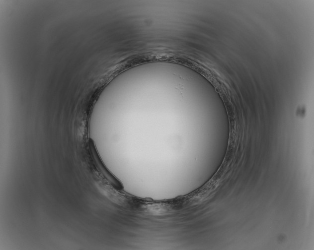 X0000095880417200801110809