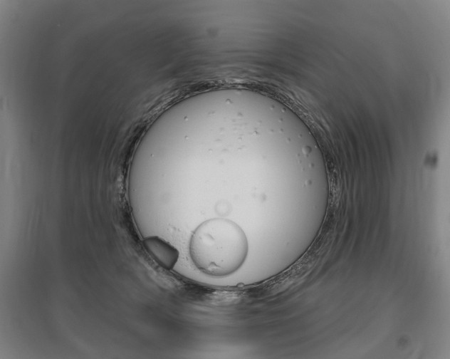 X0000095880418200801110809