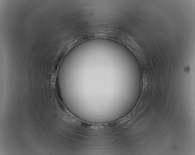 X0000095880419200801110809