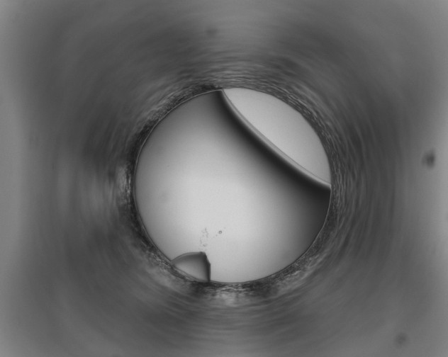 X0000095880420200801110809