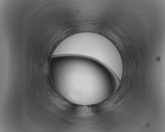 X0000095880421200801110809