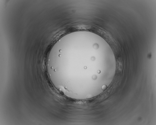 X0000095880422200801110809