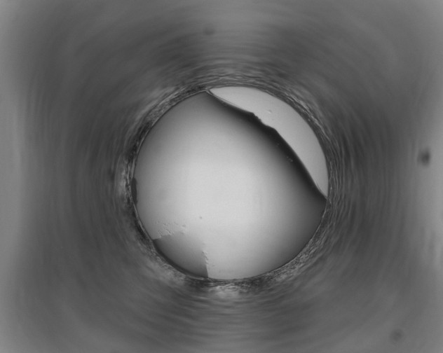 X0000095880423200801110809