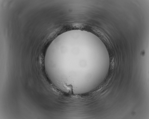 X0000095880424200801110809