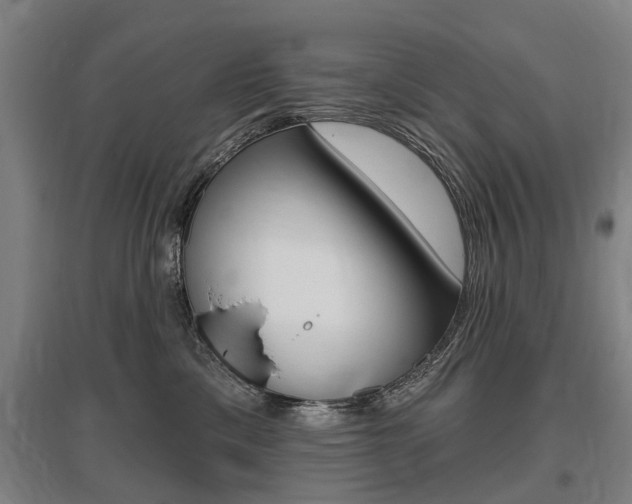 X0000095880425200801110809
