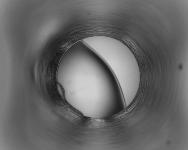 X0000095880429200801110809