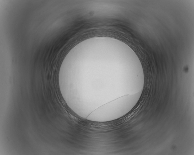 X0000095880431200801110809