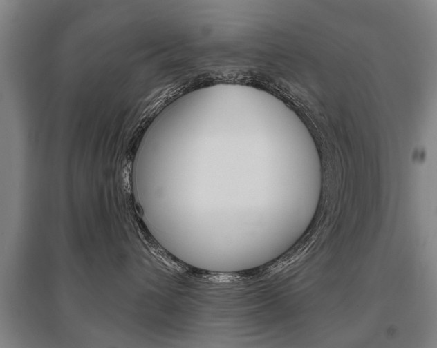 X0000095880432200801110809