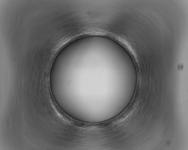 X0000095880433200801110808