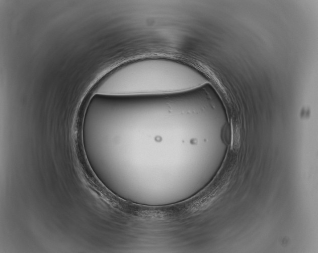 X0000095880435200801110808