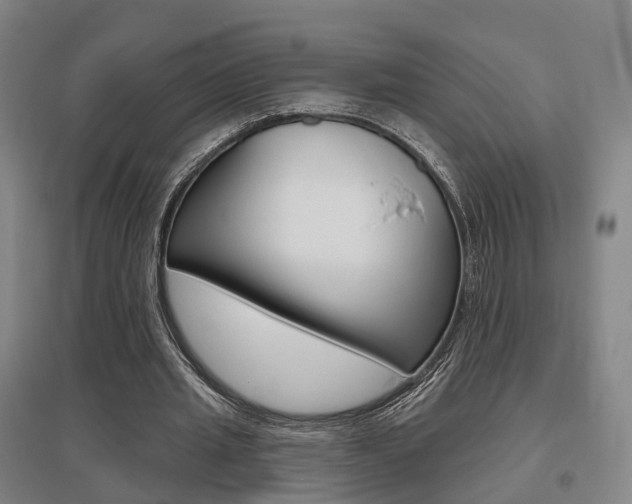 X0000095880437200801110808