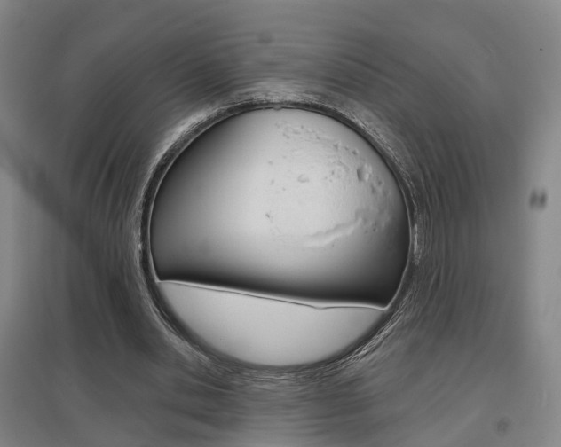 X0000095880438200801110808