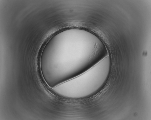 X0000095880439200801110808