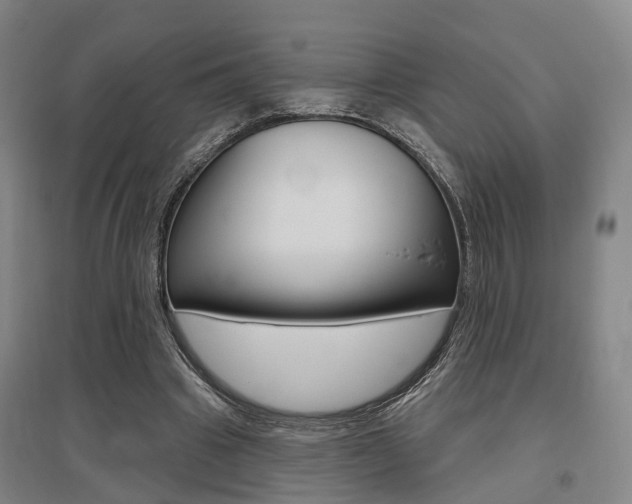 X0000095880441200801110808