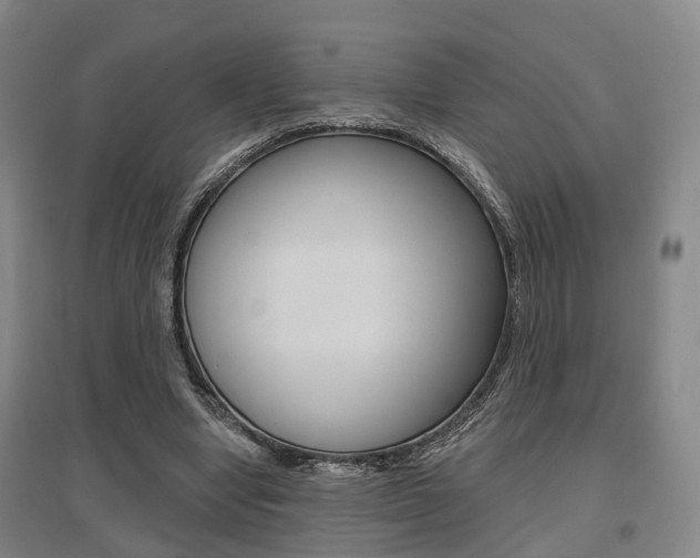 X0000095880442200801110808