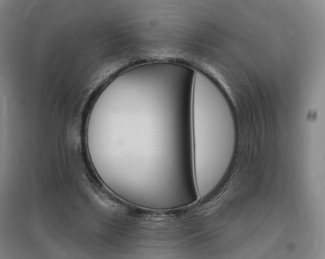 X0000095880443200801110808